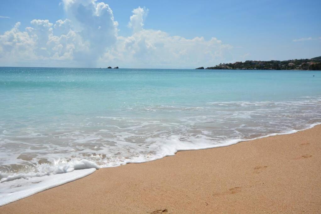Beachfront Getaway For Two! Humacao Εξωτερικό φωτογραφία