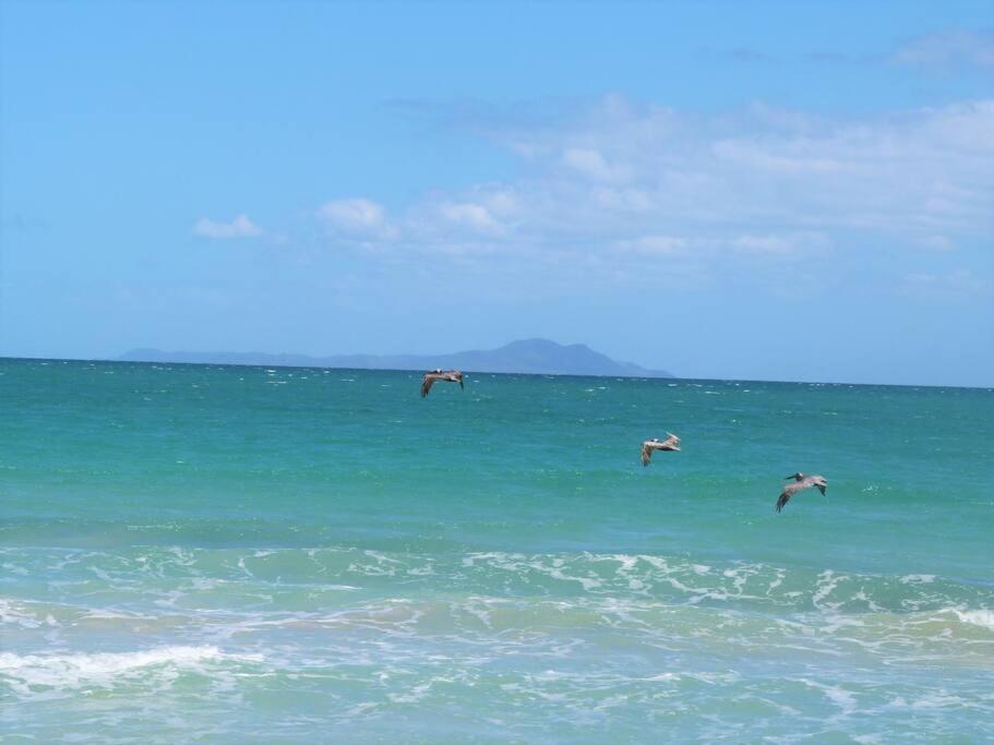 Beachfront Getaway For Two! Humacao Εξωτερικό φωτογραφία