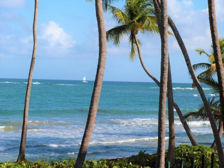 Beachfront Getaway For Two! Humacao Εξωτερικό φωτογραφία